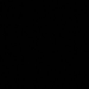 Meet your Posher, Jane